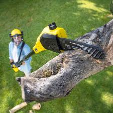 Best Lawn Watering Services  in Argo, AL